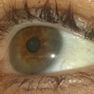 Meet your Posher, Tiffany m